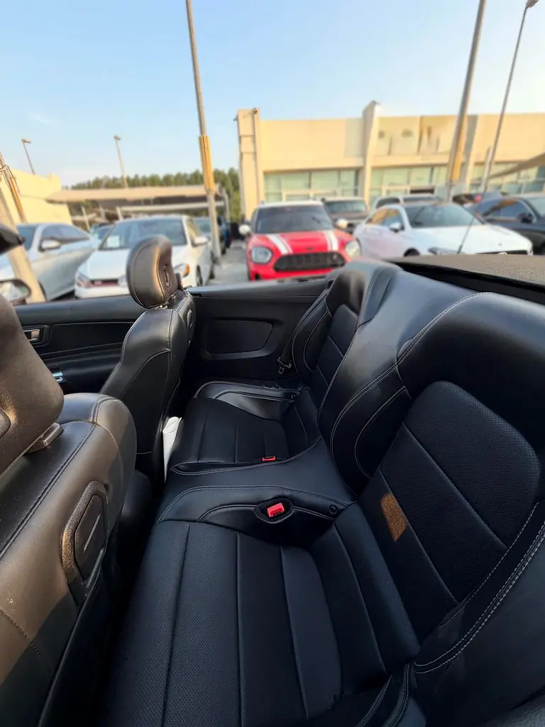 5.0L FORD MUSTANG GT (2019) CONVERTIBLE - Image 12
