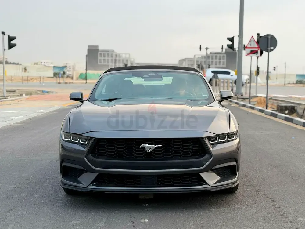 2025 mustang ecoboost - Image 10