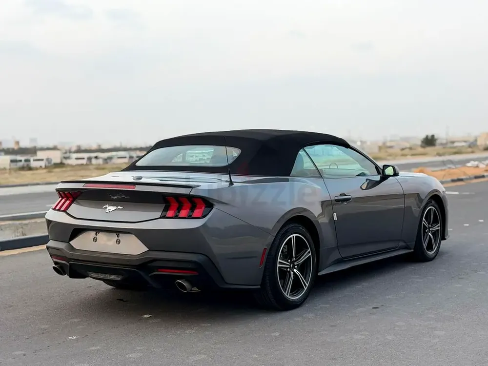 2025 mustang ecoboost - Image 4