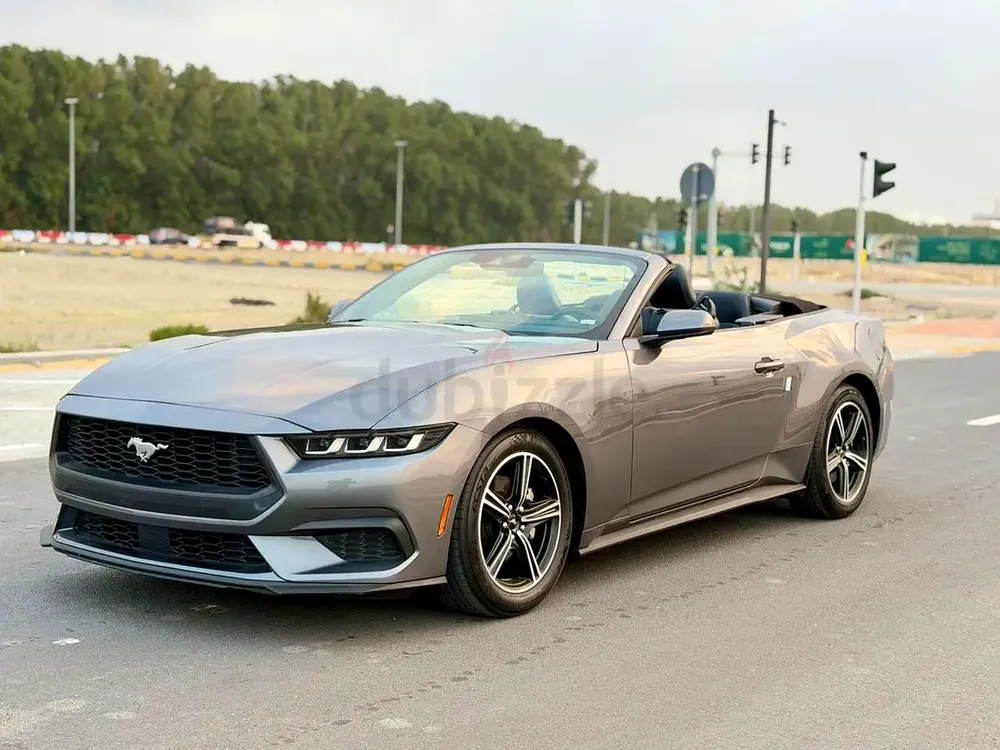 2025 mustang ecoboost - Image 5