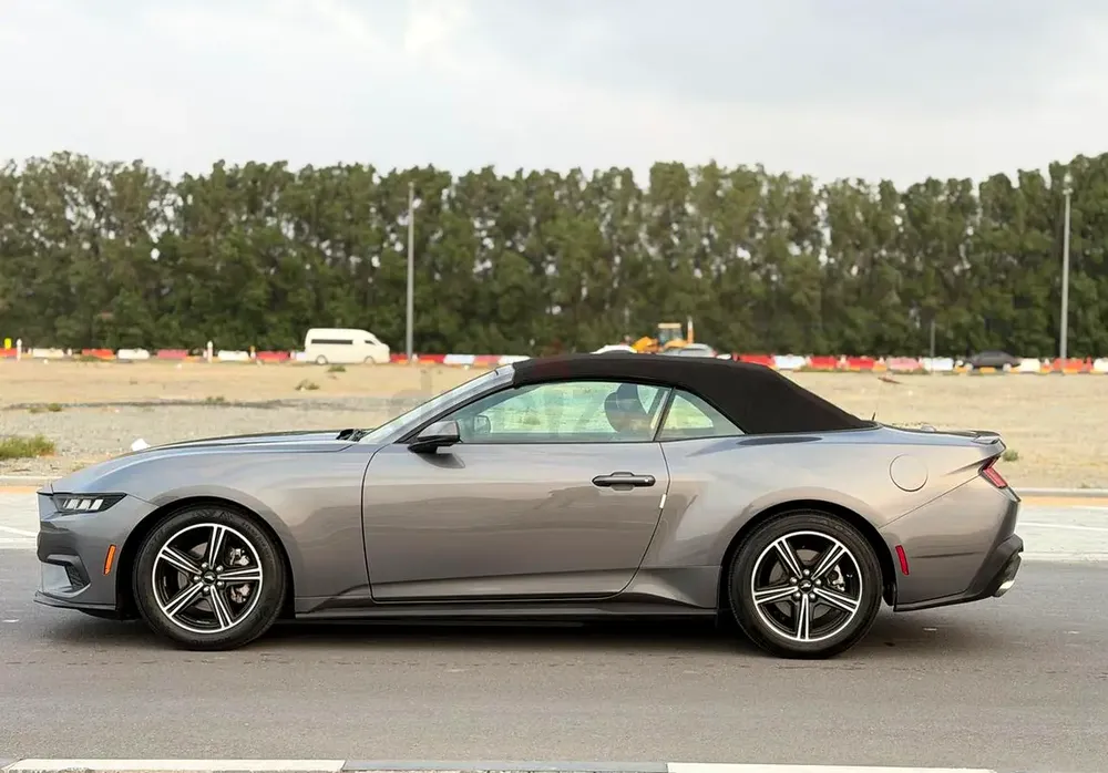 2025 mustang ecoboost - Image 7