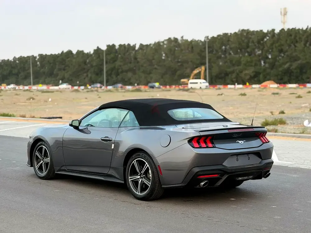 2025 mustang ecoboost - Image 9