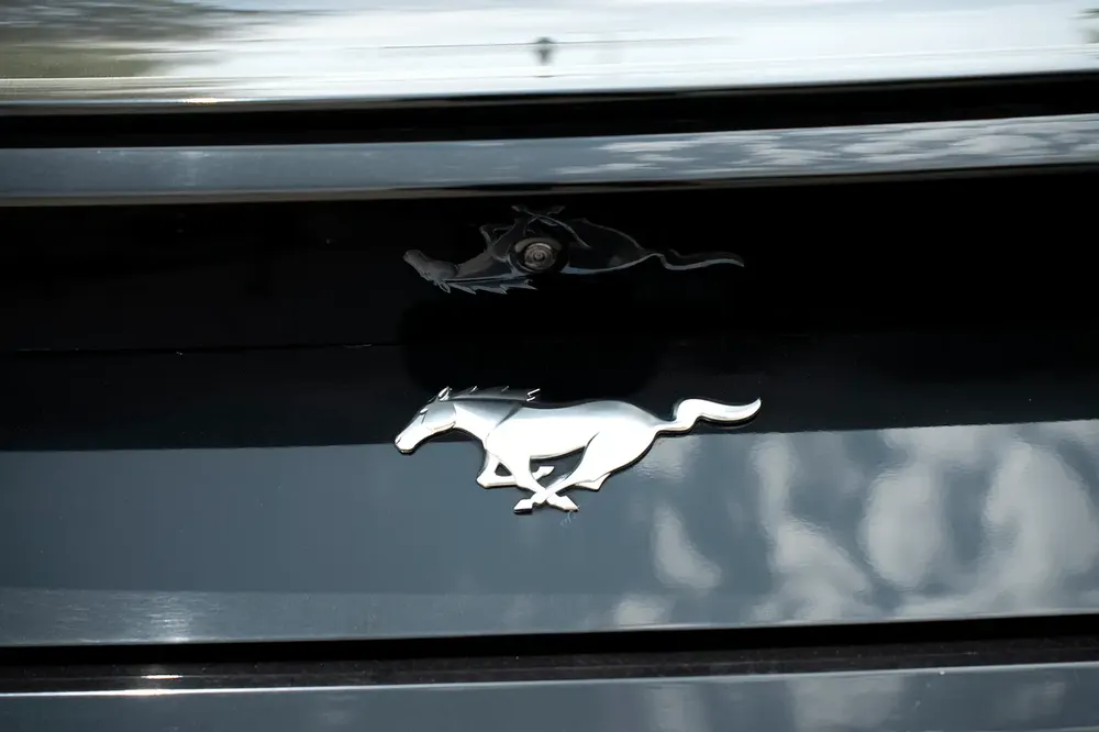 2024 Ford Mustang Ecoboost Premium - American Specs - Pristine Condition-10,000 KM - Image 8