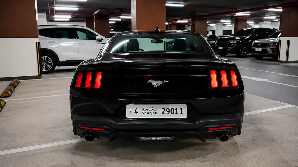 2024 Ford Mustang Ecoboost Premium - American Specs - Like New - Image 4