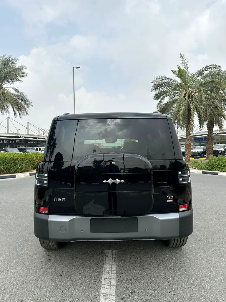 LEOPARD 7 - Image 10